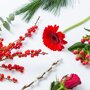 Brievenbus kaarthouder Fijne Kerst liggend